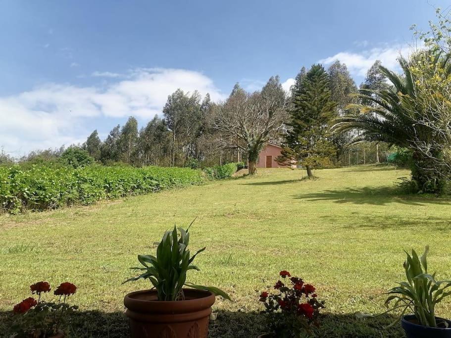 Вилла La Casa Azul De Lua Un Lugar Magico Juncedo Экстерьер фото