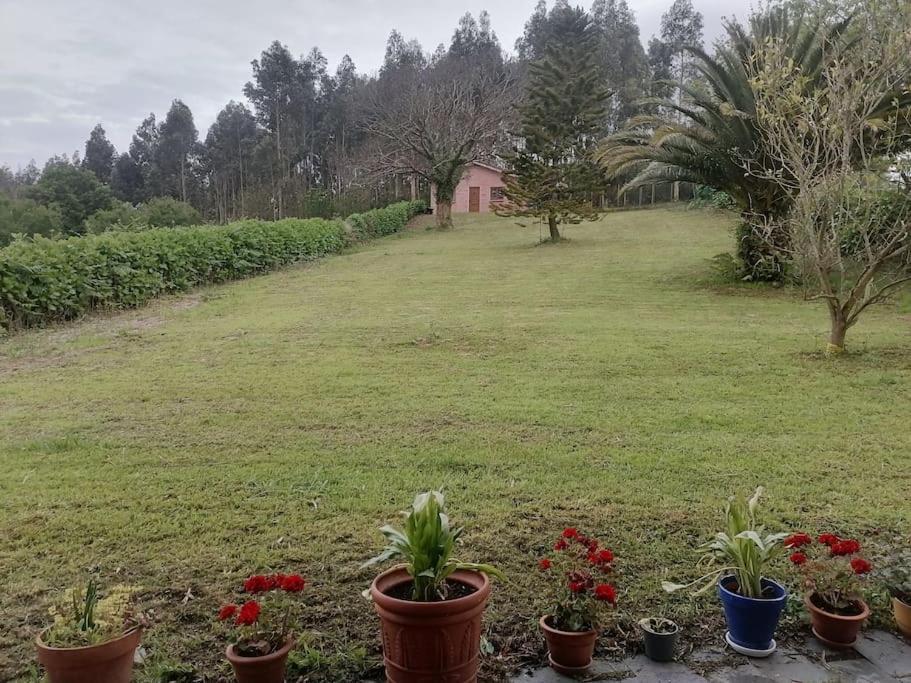 Вилла La Casa Azul De Lua Un Lugar Magico Juncedo Экстерьер фото