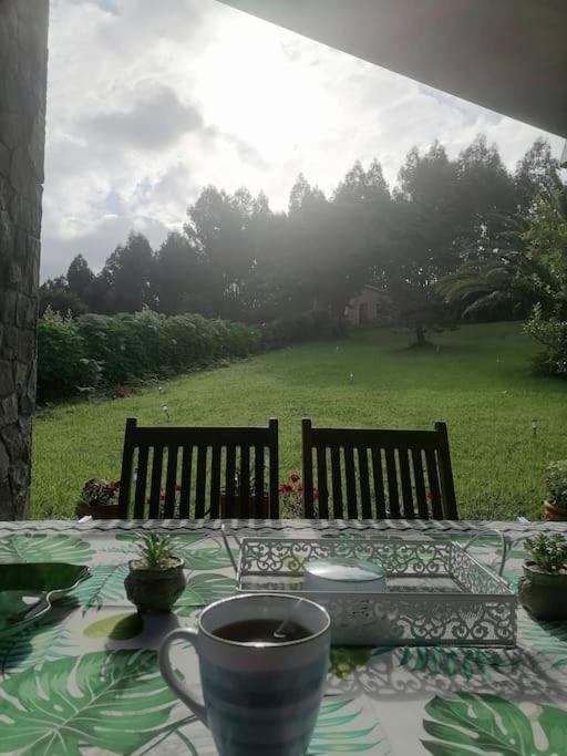 Вилла La Casa Azul De Lua Un Lugar Magico Juncedo Экстерьер фото
