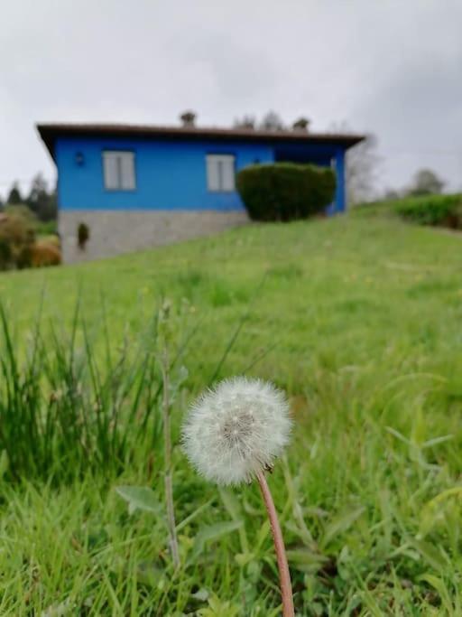 Вилла La Casa Azul De Lua Un Lugar Magico Juncedo Экстерьер фото